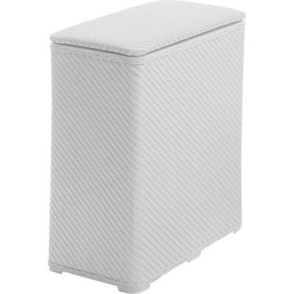 Immagine di CESTO PORTABIANCHERIA, AMBROGIO, COLORE BIANCO