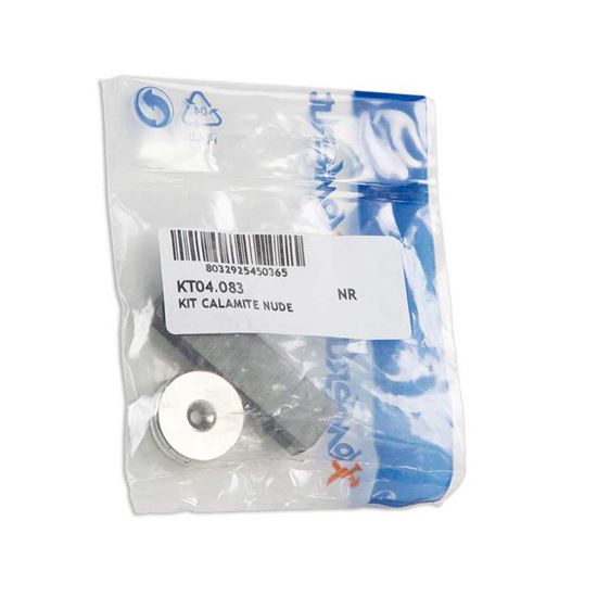 Immagine di 2 CALAMITE NUDE