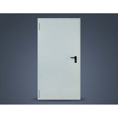 Immagine di PORTA TAGLIAFUOCO REI 120, 90X205 CM