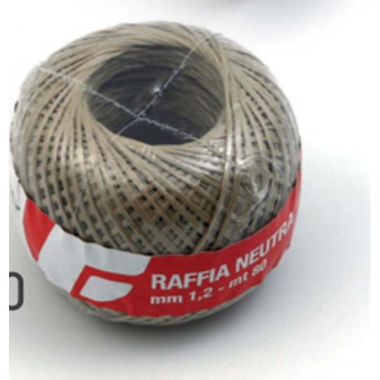 Immagine di RAFFIA NEUTRA, MM 1,2X80 MT