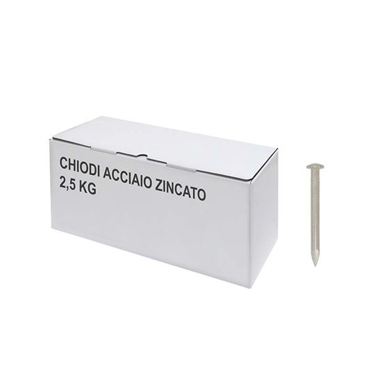 Immagine di CHIODI ACCIAIO ZINCATO, 2,5 KG, 4X70 MM