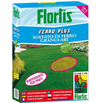 Immagine di CONCIME FLORTIS, FERRO PLUS, SOLFATO DI FERRO GRANULARE, PER PRATI E ORTI, 2 KG
