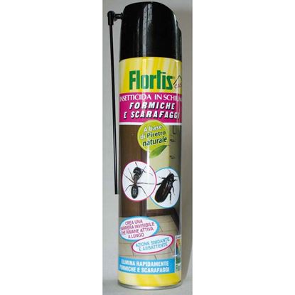 Immagine di SCARAFAGGI&FORM.SCHIUMA 400 ML
