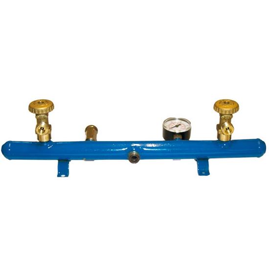 Immagine di CENTRALINA, 2 ATTACCHI, USCITA CENTRALE CON MANOMETRO E VALVOLA DI SICUREZZA, SENZA FLESSIBILI