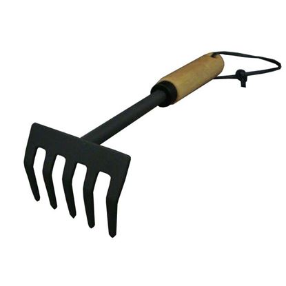 Immagine di RASTRELLO 5 DENTI, MANICO LEGNO