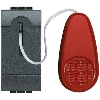 Immagine di PULSANTE 1P, NO, LIGHT, 10 A, TIRANTE