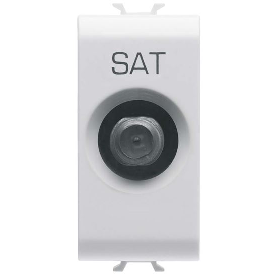 Immagine di PRESA SATELLITARE, CHORUS, DIRETTA, COLORE BIANCO