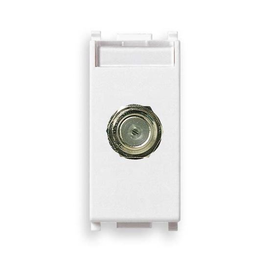 Immagine di PRESA COASSIALE TIPO F, FEMMINA, PLANA, COLORE BIANCO