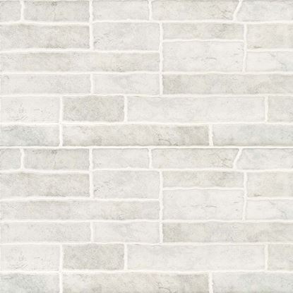 Immagine di RIVESTIMENTO MURETTO  20X40 CM, BICOTTURA PASTA ROSSA, CONFEZIONE DA 1,60 M², COLORE GRIGIO