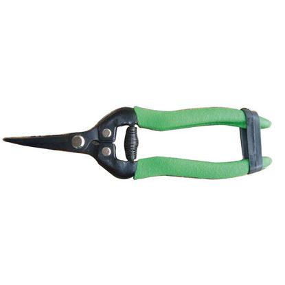 Immagine di CESOIA COGLI FRUTTA, CM 18