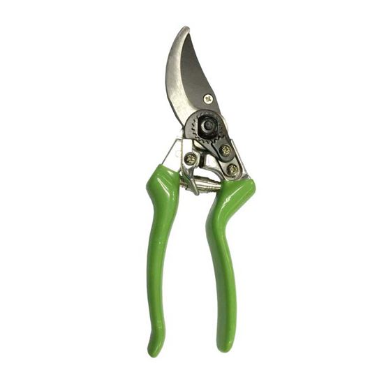 Immagine di FORBICE PER POTATURA, LAME IN TEFLON, 20 CM