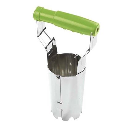 Immagine di PIANTA BULBI