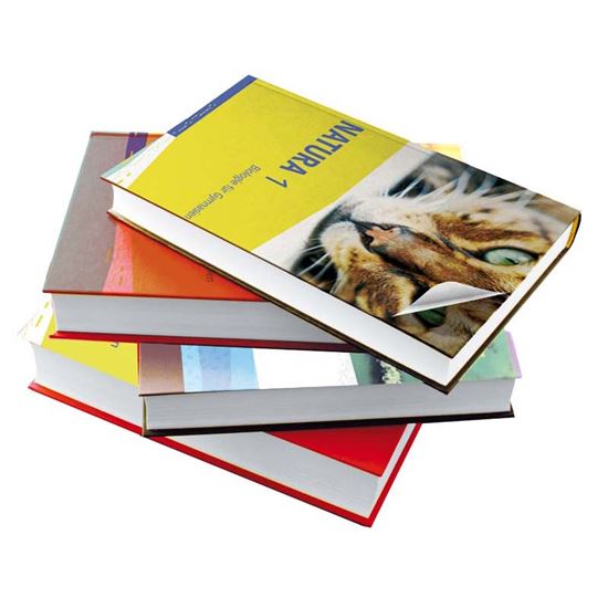 Immagine di PLASTICA ADESIVA, TRASPARENTE, 45X200 CM, ROT. 2 MT