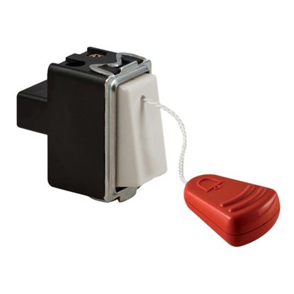 Immagine di PULSANTE CON CORDA 16A 250V 1NA