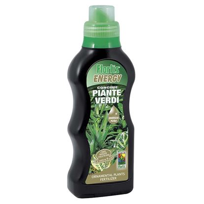 Immagine di ENERGY PIANTE VERDI 500 GR