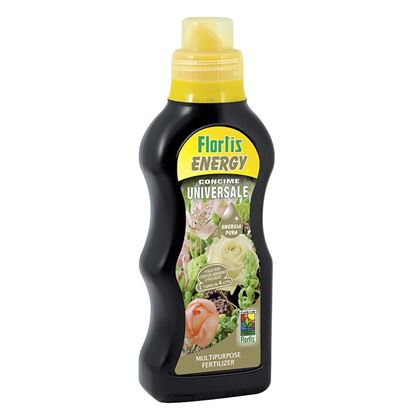 Immagine di ENERGY UNIVERSALE 500 GR