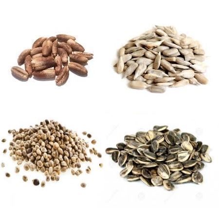 Immagine per la categoria SEMI