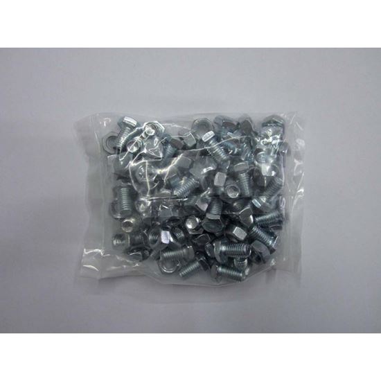 Immagine di CONFEZIONE 40 BULLONI