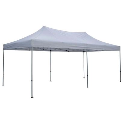 Immagine di GAZEBO EST.300X600X295-300H   CON TELO IN PVC
