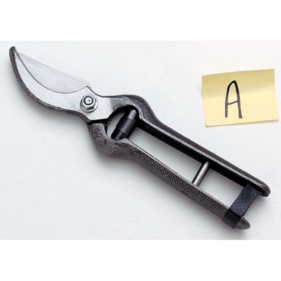 Immagine di FORBICE FORGIATA 10